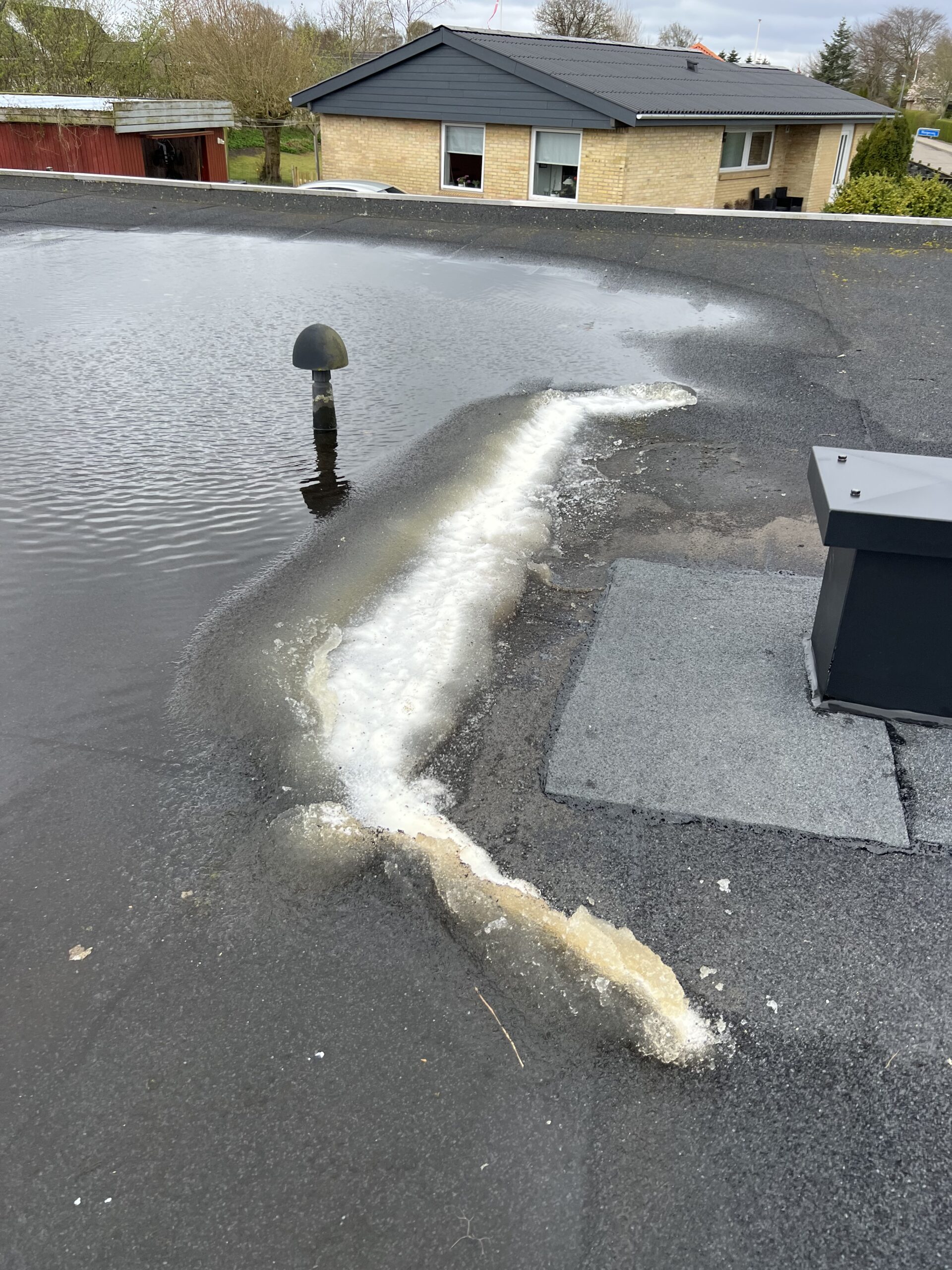 GelyGo laver bræmme på taget